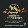 imagePurina Pro Plan Complete Essentials Shredded Blend Chicken and Rice Dog Food Dry Formula with Probiotics for Dogs  5 lbBeef  Rice