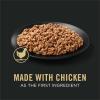 imagePurina Pro Plan Complete Essentials Shredded Blend Chicken and Rice Dog Food Dry Formula with Probiotics for Dogs  5 lbChicken  Rice