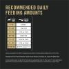 imagePurina Pro Plan Complete Essentials Shredded Blend Salmon and Rice Dog Food Dry Formula with Probiotics for Dogs  33 lb BagBeef  Rice