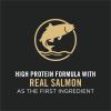 imagePurina Pro Plan High Protein Dog Food Sport 3020 Salmon and Rice Dog Food Dry Formula  6 lb BagSalmon  Rice