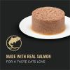 imagePurina Pro Plan Pate High Protein Senior Wet Cat Food SENIOR 11 Salmon ampamp Tuna Entree  Pack of 24 3 oz PullTop Cans