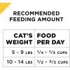 imagePurina Pro Plan Senior Cat Food With Probiotics for Cats Chicken and Rice Formula  32 lb BagChicken  Rice