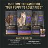 imagePurina Pro Plan Sport Development 3020 Chicken and Rice Formula High Protein Dog Food for Puppies  16 lb BagChicken  Rice