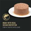 imagePurina Pro Plan Urinary Tract Cat Food Wet Pate Urinary Tract Health Ocean Whitefish Entree  Pack of 24 3 oz PullTop CansClassic Ocean Whitefish