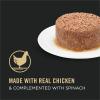 imagePurina Pro Plan Wet Kitten Food Pate Salmon and Ocean Fish Entree  Pack of 24 3 oz PullTop CansChicken  Spinach