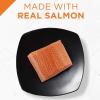 imagePurina Pro Plan Wet Kitten Food Pate Salmon and Ocean Fish Entree  Pack of 24 3 oz PullTop CansSalmon  Cheese
