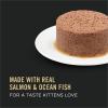 imagePurina Pro Plan Wet Kitten Food Pate Salmon and Ocean Fish Entree  Pack of 24 3 oz PullTop CansSalmon  Ocean Fish