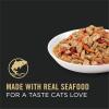 imagePurina Pro Plan Wet Kitten Food Pate Salmon and Ocean Fish Entree  Pack of 24 3 oz PullTop CansSeafood Stew