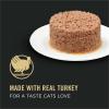 imagePurina Pro Plan Wet Kitten Food Pate Salmon and Ocean Fish Entree  Pack of 24 3 oz PullTop CansTurkey  Rice
