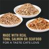 imagePurina Pro Plan Wet Kitten Food Pate Salmon and Ocean Fish Entree  Pack of 24 3 oz PullTop CansVariety Pack