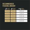 imagePurina Pro Plan With Probiotics High Protein Dry Kitten Food Chicken ampamp Rice Formula  7 lb BagChicken  Rice