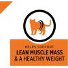 imagePurina Pro Plan With Probiotics High Protein Dry Kitten Food Chicken ampamp Rice Formula  7 lb BagShredded Blend Turkey  Rice