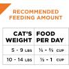 imagePurina Pro Plan With Probiotics High Protein Dry Kitten Food Chicken ampamp Rice Formula  7 lb BagShredded Blend Turkey  Rice