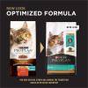 imagePurina Pro Plan With Probiotics High Protein Dry Kitten Food Shredded Blend Chicken ampamp Rice Formula  12 lb BagChicken  Rice Shredded Blend