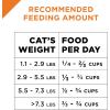 imagePurina Pro Plan With Probiotics High Protein Dry Kitten Food Shredded Blend Chicken ampamp Rice Formula  12 lb BagChicken  Rice Shredded Blend
