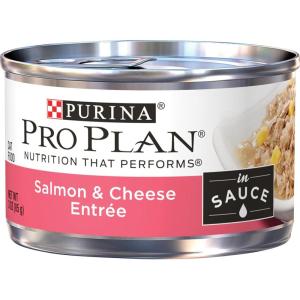 imagePurina Pro Plan Wet Kitten Food Pate Salmon and Ocean Fish Entree  Pack of 24 3 oz PullTop CansSalmon  Cheese
