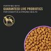imagePurina Pro Plan Active  High Protein 2717 Dry Dog Food