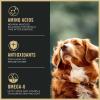 imagePurina Pro Plan Active High Protein Dog Food SPORT 2717 Chicken and Rice Formula  375 lb Bag375 Pound Pack of 1