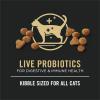 imagePurina Pro Plan All Life Stages High Protein Cat Food Chicken and Rice Dry Kibble 32 Pound Pack of 1