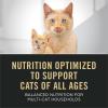 imagePurina Pro Plan All Life Stages High Protein Cat Food Chicken and Rice Dry Kibble 32 Pound Pack of 1