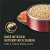 imagePurina Pro Plan Canned Dog Food Sensitive Skin ampamp Stomach Salmon ampamp Rice 13 oz 12 Pack