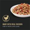 imagePurina Pro Plan Complete Essentials High Protein Cat Food Wet Gravy Chicken and Rice Entree  Pack of 24 55 Oz PullTop CansChicken With Tomatoes
