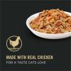 imagePurina Pro Plan Complete Essentials High Protein Cat Food Wet Gravy Chicken and Rice Entree  Pack of 24 55 Oz PullTop CansLiver