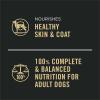 imagePurina Pro Plan Complete Essentials Wet Dog Food Chicken and Rice Entree and Beef and Rice Entree Variety Pack  Pack of 12 13 oz Cans13 Ounce Pack of 12