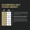 imagePurina Pro Plan Dog Food Grain Free Wet Classic Turkey and Sweet Potato Entre  Pack of 12 13 oz Cans