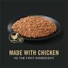 imagePurina Pro Plan Grain Free Complete Essentials Classic Pate Dog Food Chicken and Carrots Entre  Pack of 12 13 oz Cans