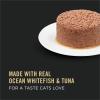 imagePurina Pro Plan Grain Free High Protein Pate Wet Cat Food Complete Essentials Ocean Whitefish ampamp Tuna Entree  Pack of 24 3 oz CansOcean Whitefish  Tuna