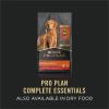imagePurina Pro Plan Grain Free Wet Puppy Food Classic Chicken Entre  Pack of 12 13 oz CansBeef  Lamb