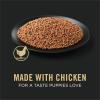 imagePurina Pro Plan Grain Free Wet Puppy Food Classic Chicken Entre  Pack of 12 13 oz CansChicken
