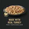 imagePurina Pro Plan Grain Free Wet Puppy Food Classic Chicken Entre  Pack of 12 13 oz CansTurkey  Rice