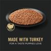 imagePurina Pro Plan Grain Free Wet Puppy Food Classic Chicken Entre  Pack of 12 13 oz CansTurkey
