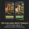 imagePurina Pro Plan Gravy Wet Dog Food for Large Dogs Large Breed Chicken and Rice Entre  Pack of 12 13 oz Cans