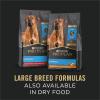 imagePurina Pro Plan Gravy Wet Dog Food for Large Dogs Large Breed Chicken and Rice Entre  Pack of 12 13 oz Cans