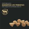 imagePurina Pro Plan High Protein Cat Food With Probiotics for Cats Salmon and Rice Formula  16 lb BagChicken  Egg