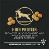 imagePurina Pro Plan High Protein Digestive Health Large Breed Dog Food Dry Chicken and Rice Formula  47 lb BagChicken  Rice