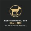 imagePurina Pro Plan High Protein Dog Food Small Bites SPORT 2717 Lamb and Rice Formula  375 lb BagLamb  Rice  Small Bites