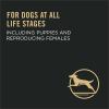 imagePurina Pro Plan High Protein Dog Food Small Bites SPORT 2717 Lamb and Rice Formula  375 lb BagLamb  Rice  Small Bites