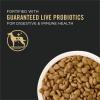 imagePurina Pro Plan High Protein Dog Food Small Bites SPORT 2717 Lamb and Rice Formula  375 lb BagLamb  Rice