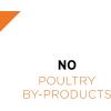 imagePurina Pro Plan High Protein Dog Food Wet Pate Grain Free Beef and Peas Entree  12 13 oz Cans