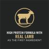 imagePurina Pro Plan High Protein Dog Food With Probiotics for Dogs Shredded Blend Chicken ampamp Rice Formula  18 lb BagLamb  Rice