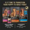 imagePurina Pro Plan High Protein Puppy Food DHA Lamb ampamp Rice Formula  34 lb BagLamb  Rice