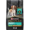 imagePurina Pro Plan High Protein Small Breed Puppy Food DHA Chicken ampamp Rice Formula  6 lb BagChicken  Rice