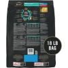 imagePurina Pro Plan Large Breed Dry Puppy Food Chicken and Rice Formula  34 lb BagBeef  Rice