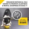 imagePurina Pro Plan Senior Dog Food With Probiotics for Dogs Bright Mind 7 Chicken ampamp Rice Formula  16 lb BagTurkey  No Corn  Wheat  Soy