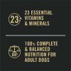 imagePurina Pro Plan Sensitive Skin and Sensitive Stomach Dog Food Lamb and Oat Meal Formula  16 lb BagSalmon  Rice