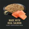 imagePurina Pro Plan Sensitive Skin and Sensitive Stomach Dog Food Lamb and Oat Meal Formula  16 lb BagSalmon  Rice